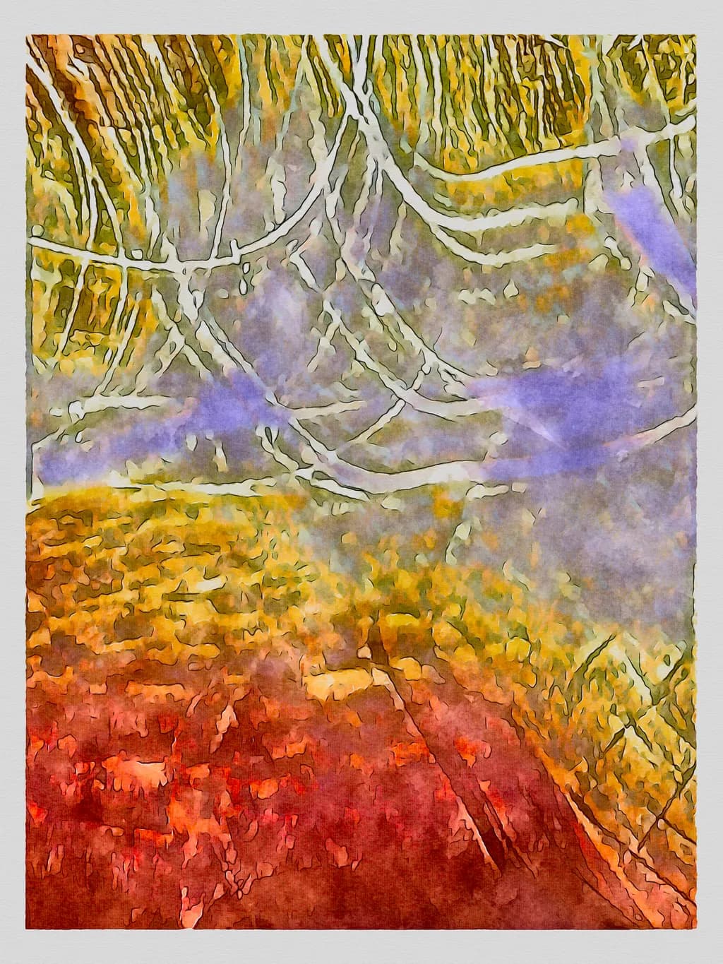 Whispers of Nature: An Abstract Journey Through Color and Texture
