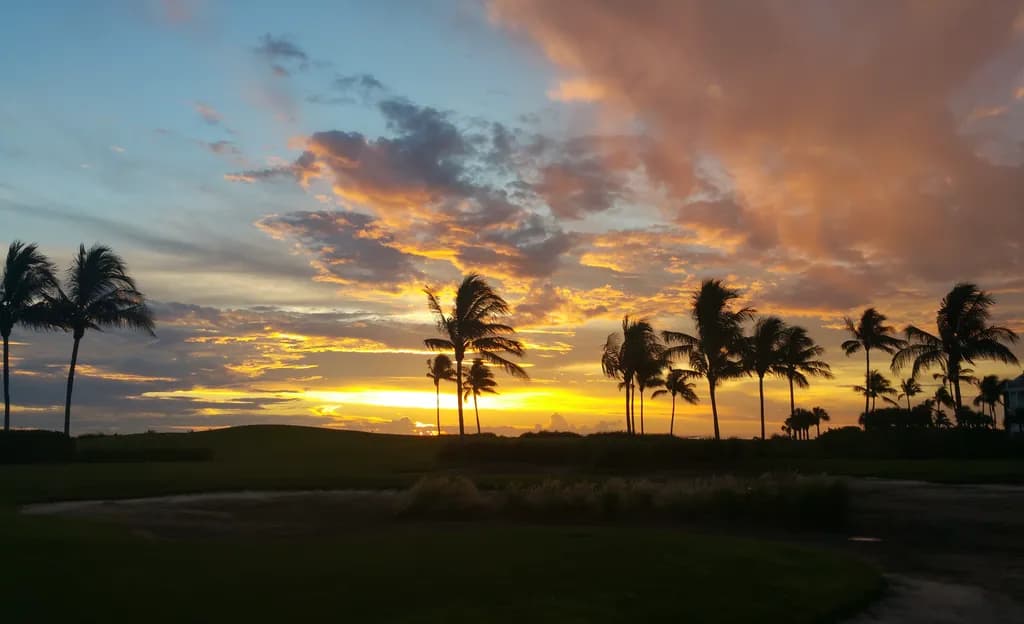 Golden Hour Bliss: A Tropical Sunset Over Palm Trees and Colorful Skies