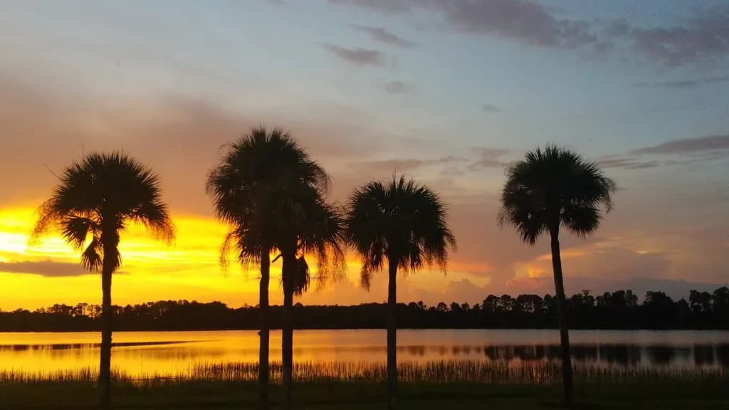Sunset Serenade: A Tropical Evening by the Water's Edge