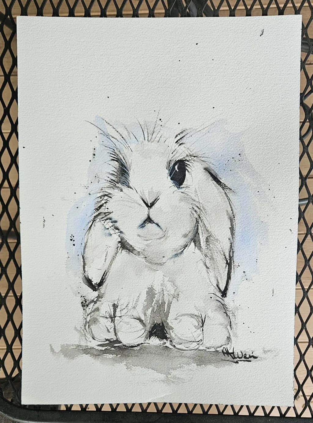 Gentle Gaze