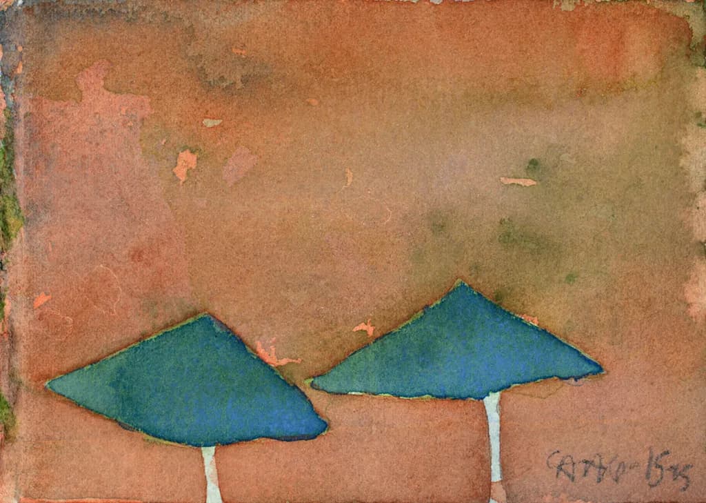 Aspen Umbrellas