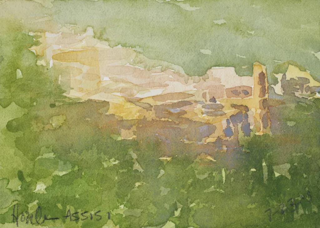 Sunlit Countryside Fields