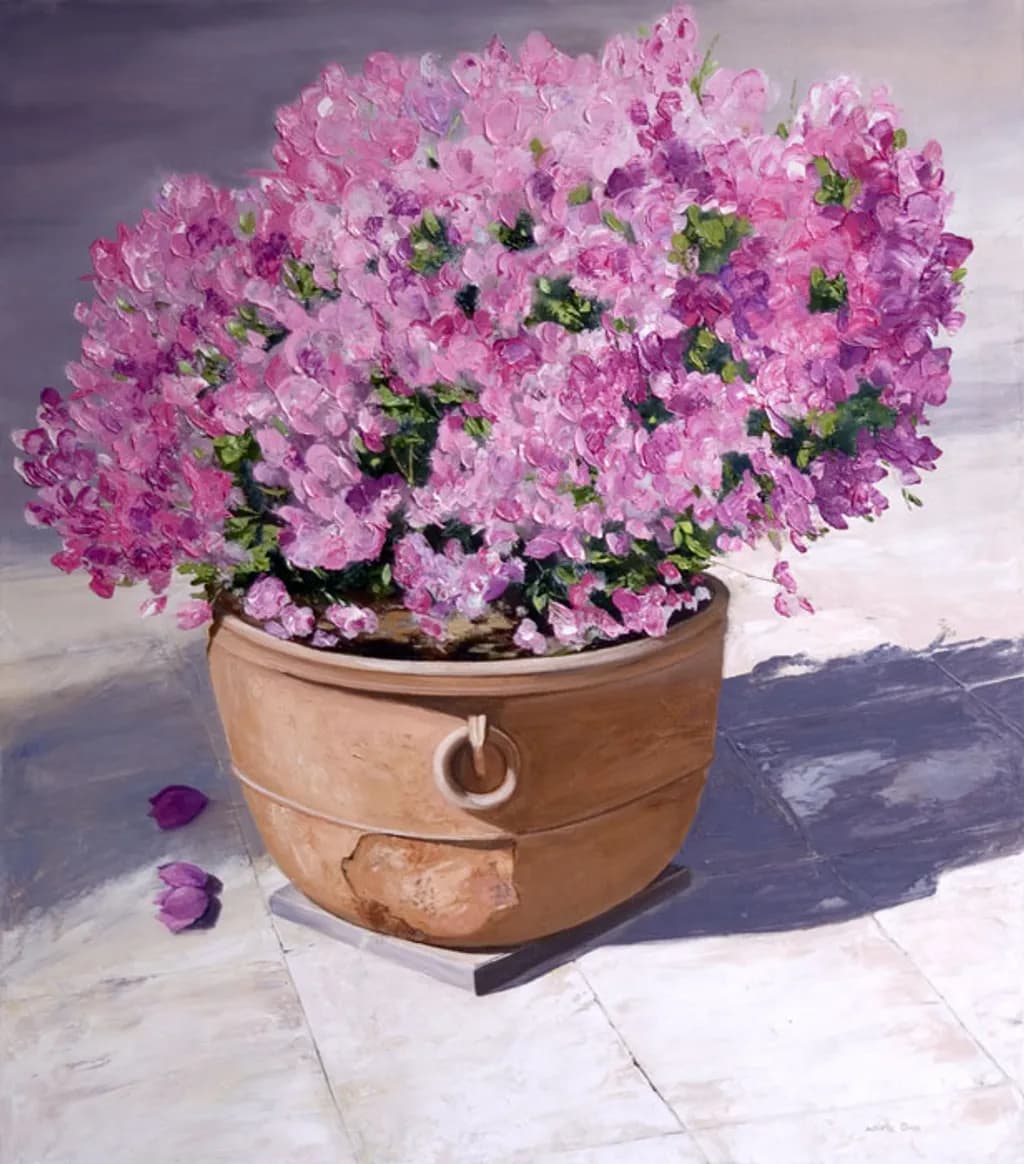Bougainvillea Bloom