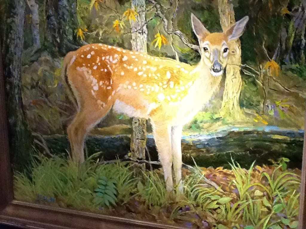 Forest Fawn