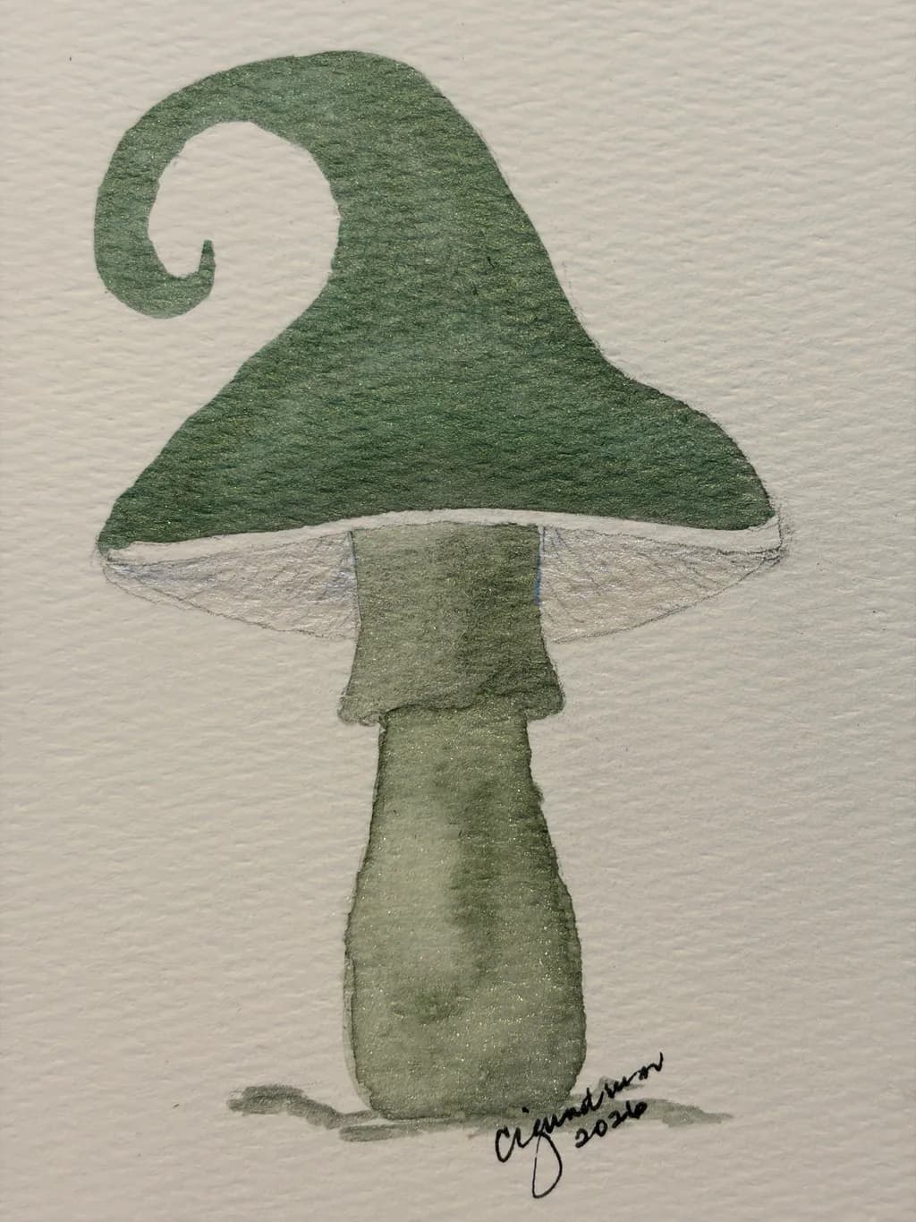 Curled Cap Mushroom