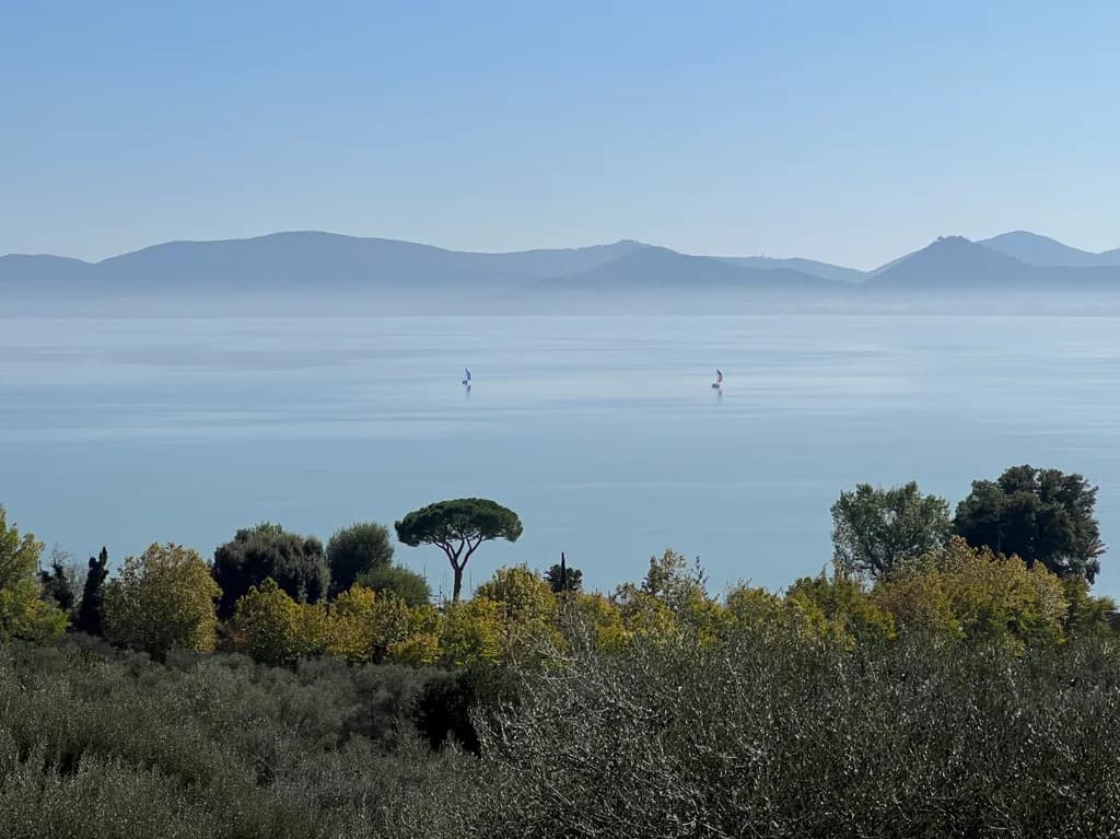 Whispers of Serenity: A Tranquil Dance of Sailboats on the Misty Horizon