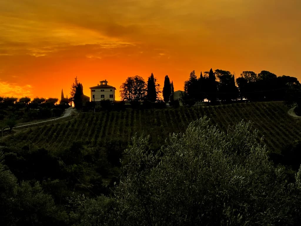 Whispers of Twilight: A Serene Italian Sunset Over Vineyards