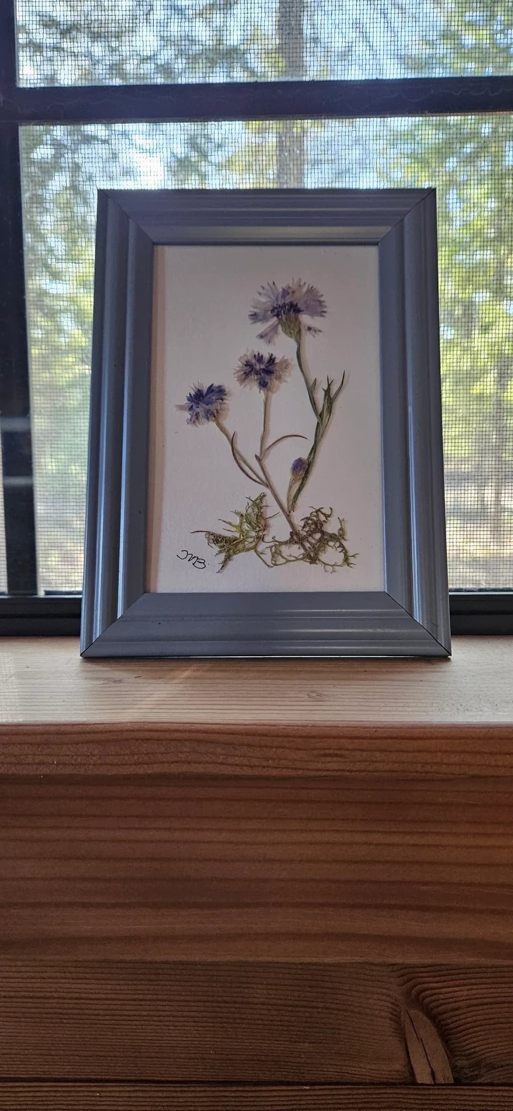 Pressed Bloom Arrangement