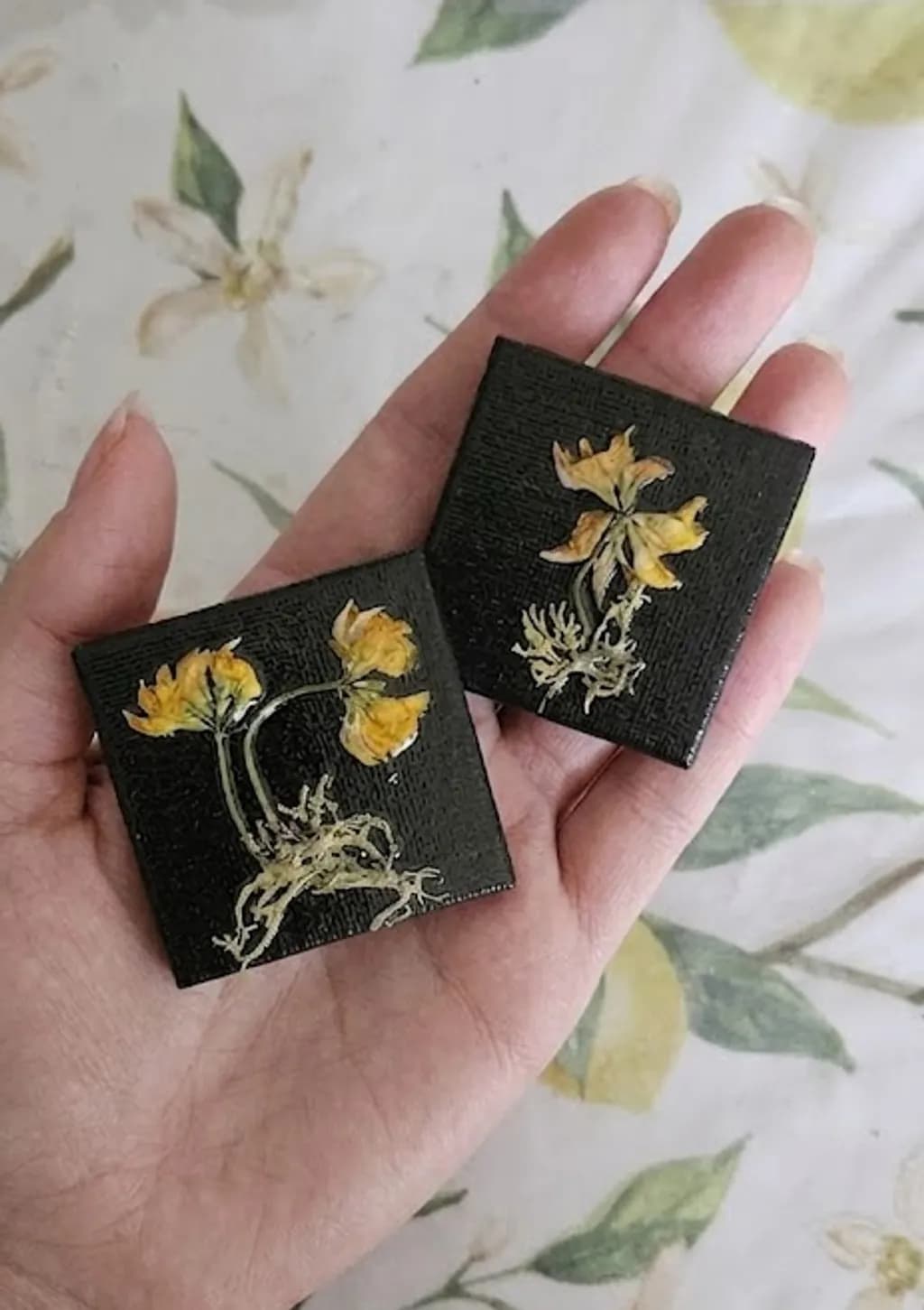 One Hand Botanica