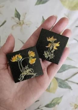 One Hand Botanica