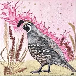 The Tamaracks' Quail