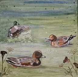 Osaka Ducks