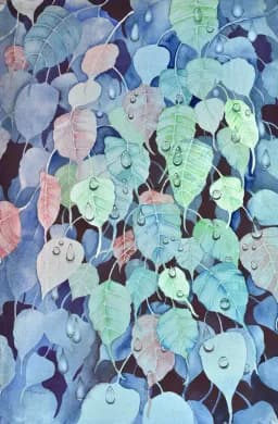 Rainy Season Leaves