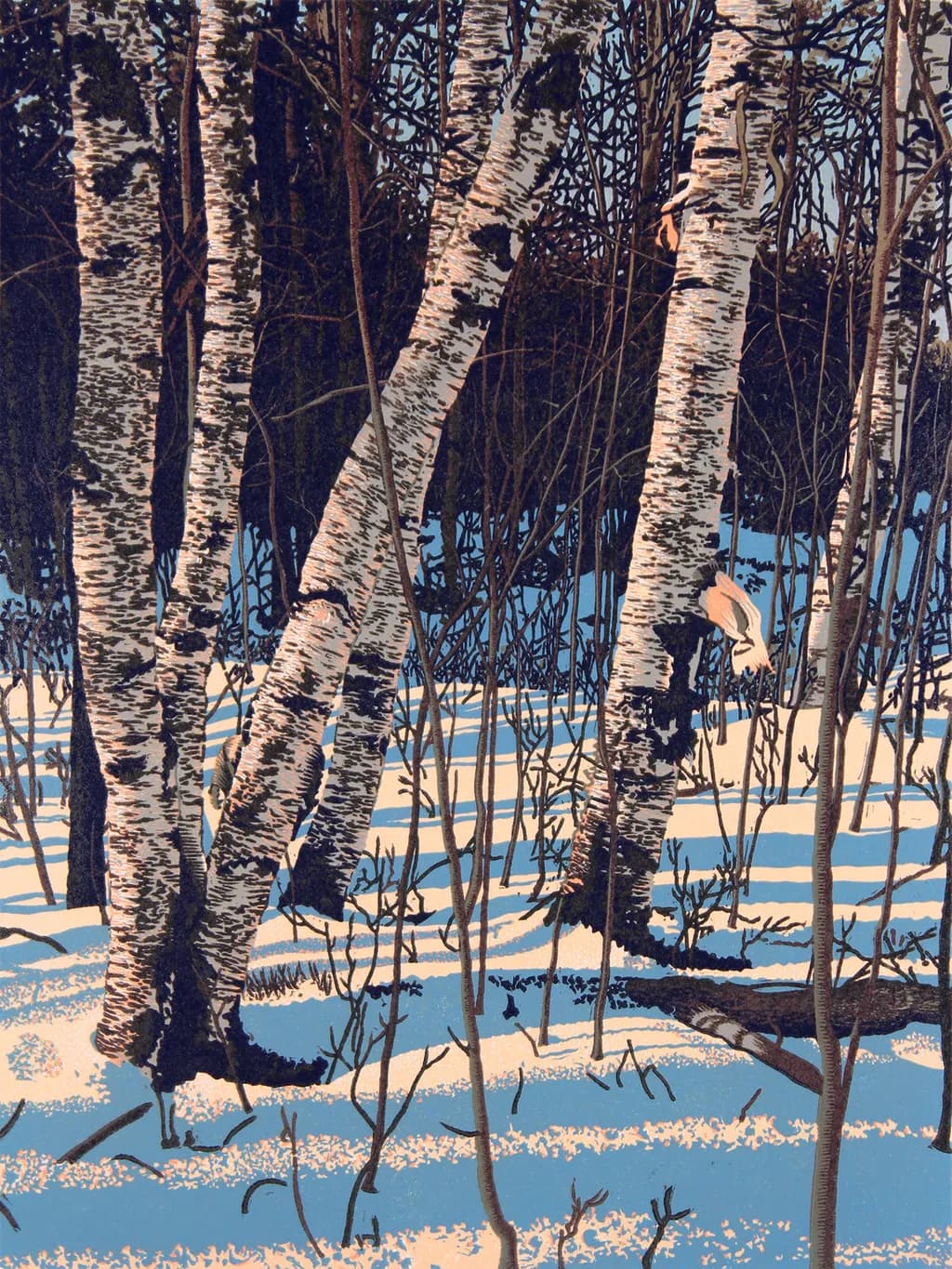 White Birch Shadows