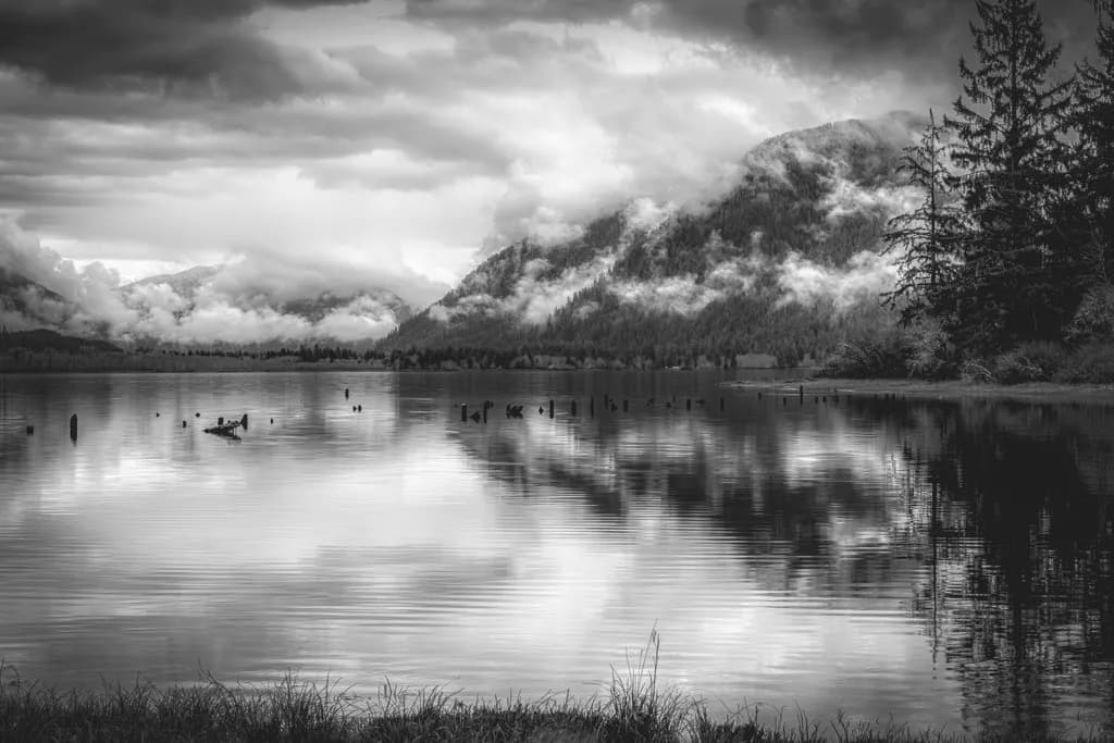 Lake Quinault Reflection