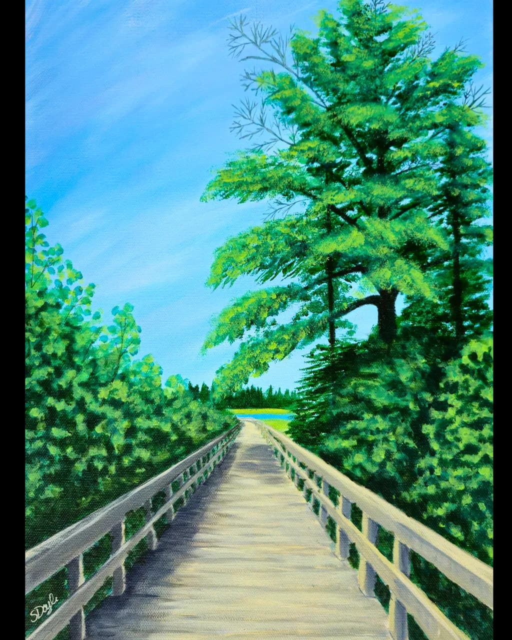 Rissers Beach Boardwalk