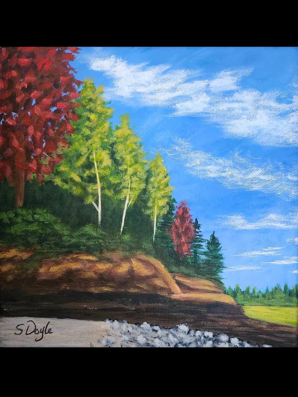 Cliffside at Thomas Cove