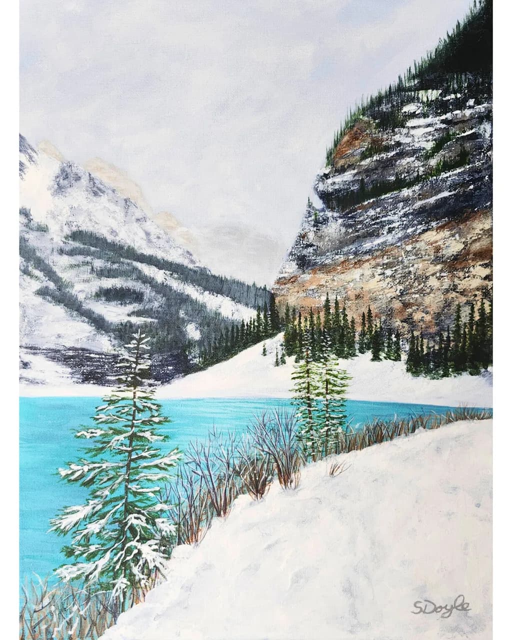 Winter Wispers on the Turquoise Shore
