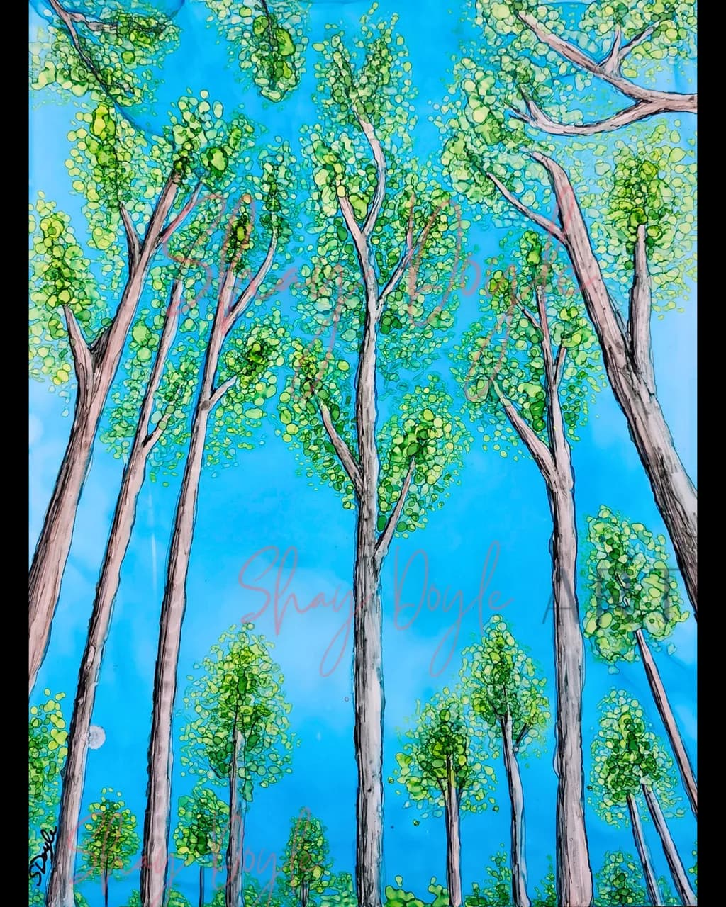 Beneath the Canopy