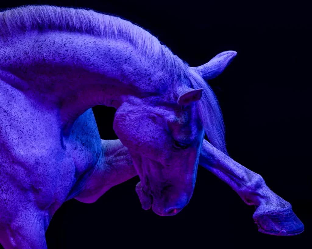 Ethereal Elegance: The Sculptural Beauty of a Horse in Vibrant Hues