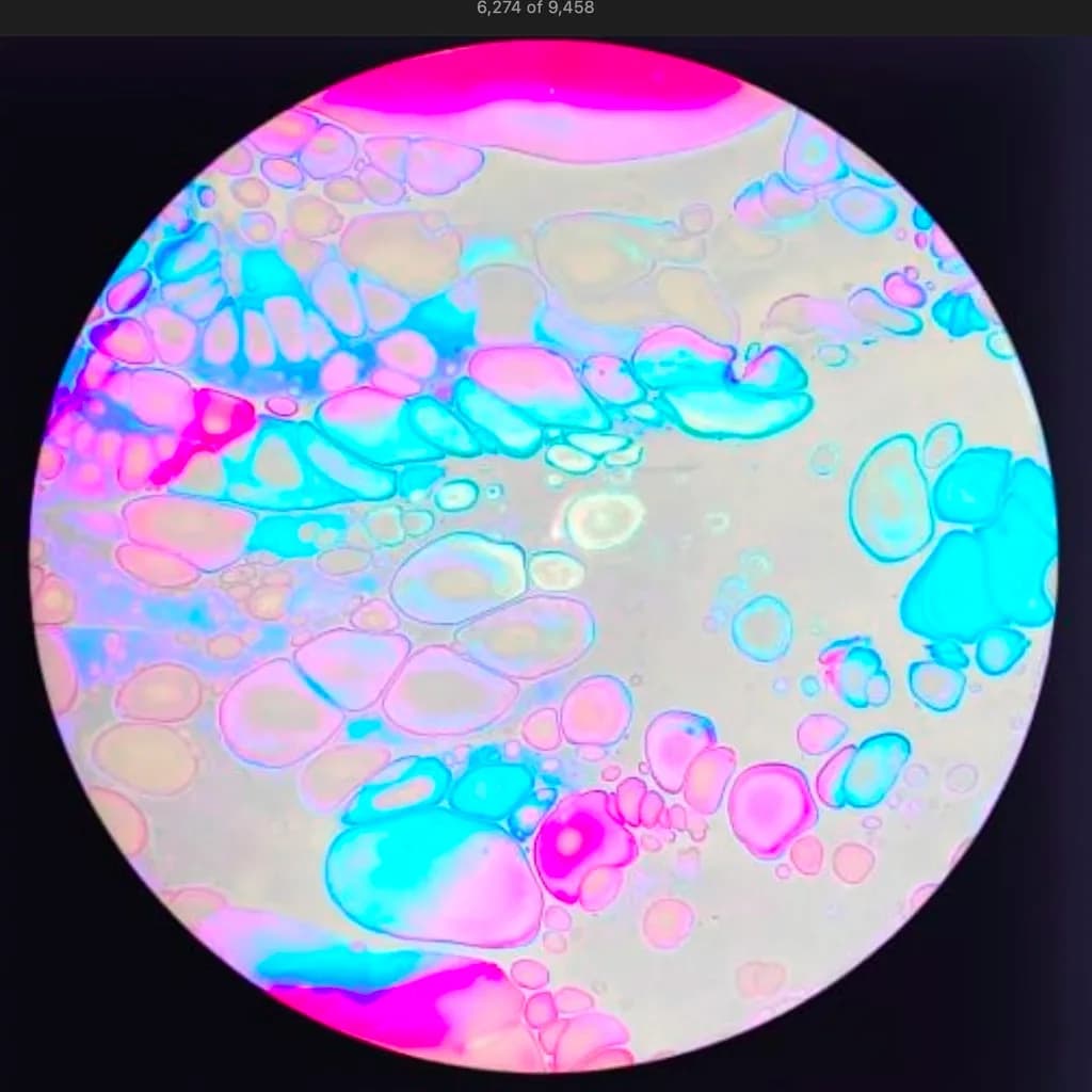 Bubblegum Dreams