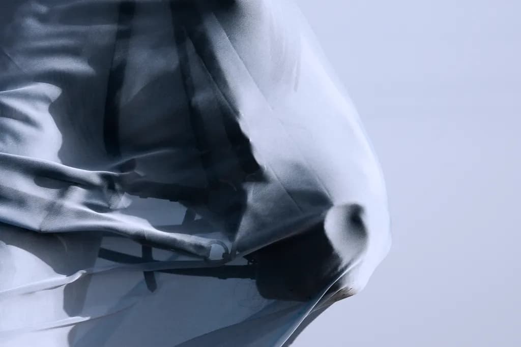 Translucent Veil