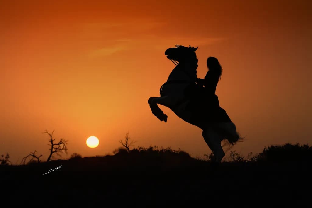 Sunset Ride