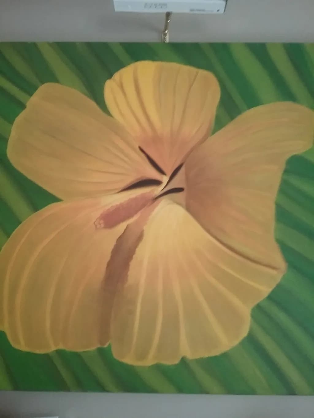 Yellow Flower Closeup