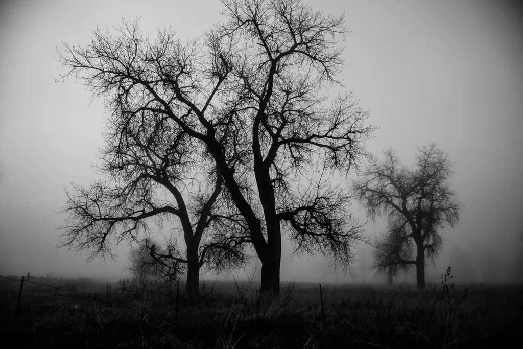 Whispering Giants