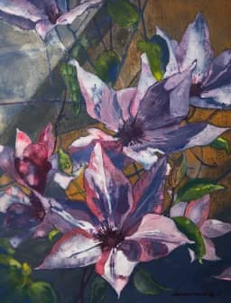 Pink Clematis Bloom