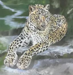 Stillness in Spots