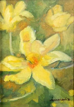 Yellow Magnolia
