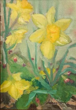 Daffodil Dance