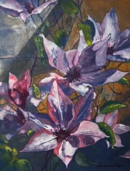 Pink Clematis