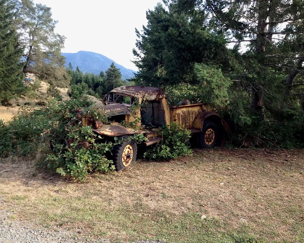 Whispers of Time: The Forgotten Truck Embraced by Nature