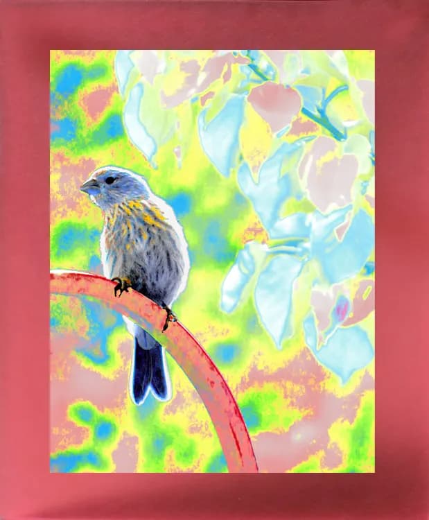 Tropical Hue