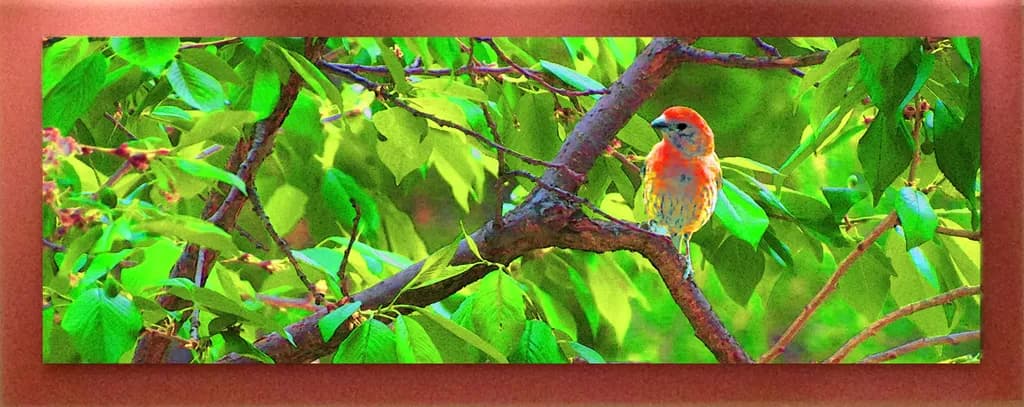 Big Red Spring