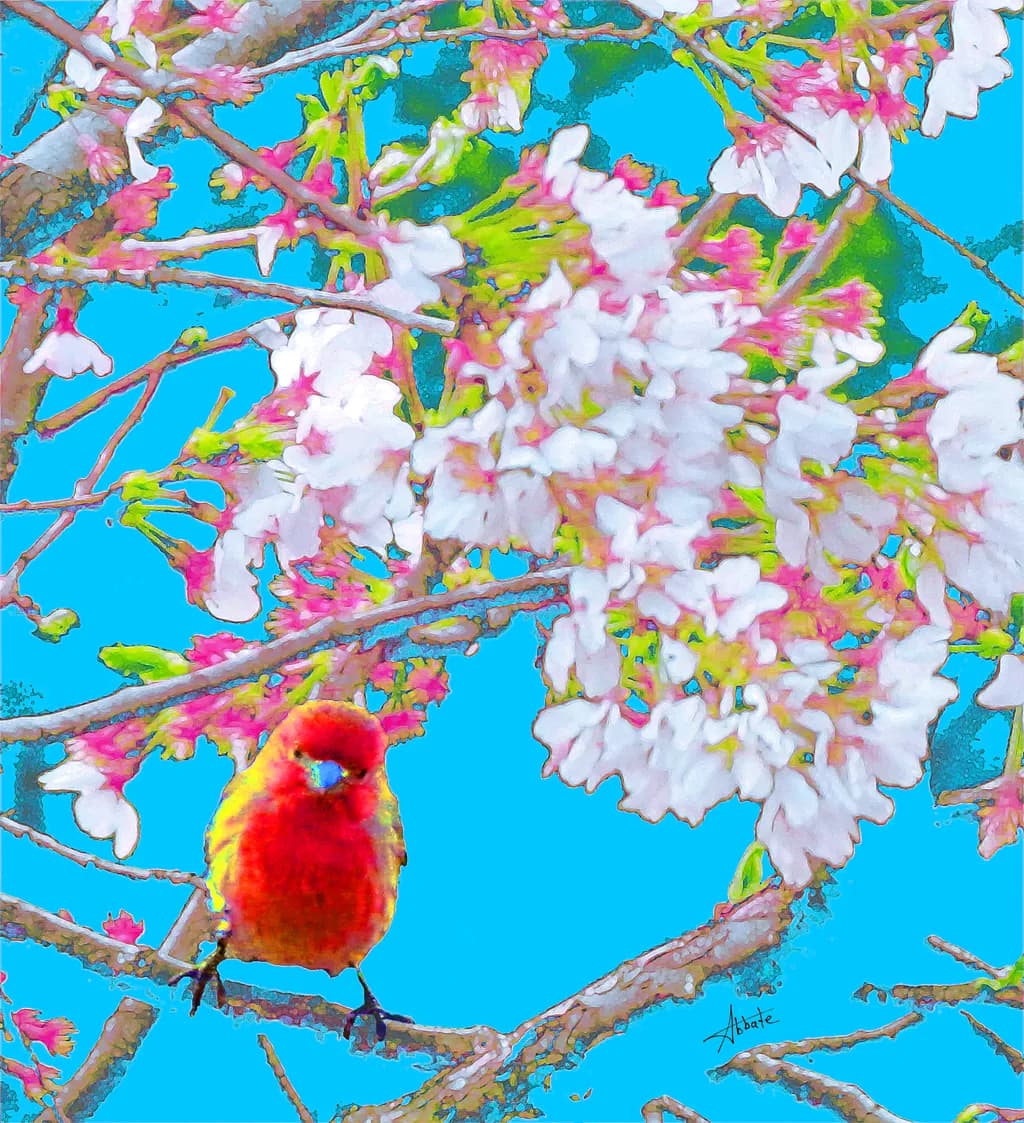 Breath of Spring