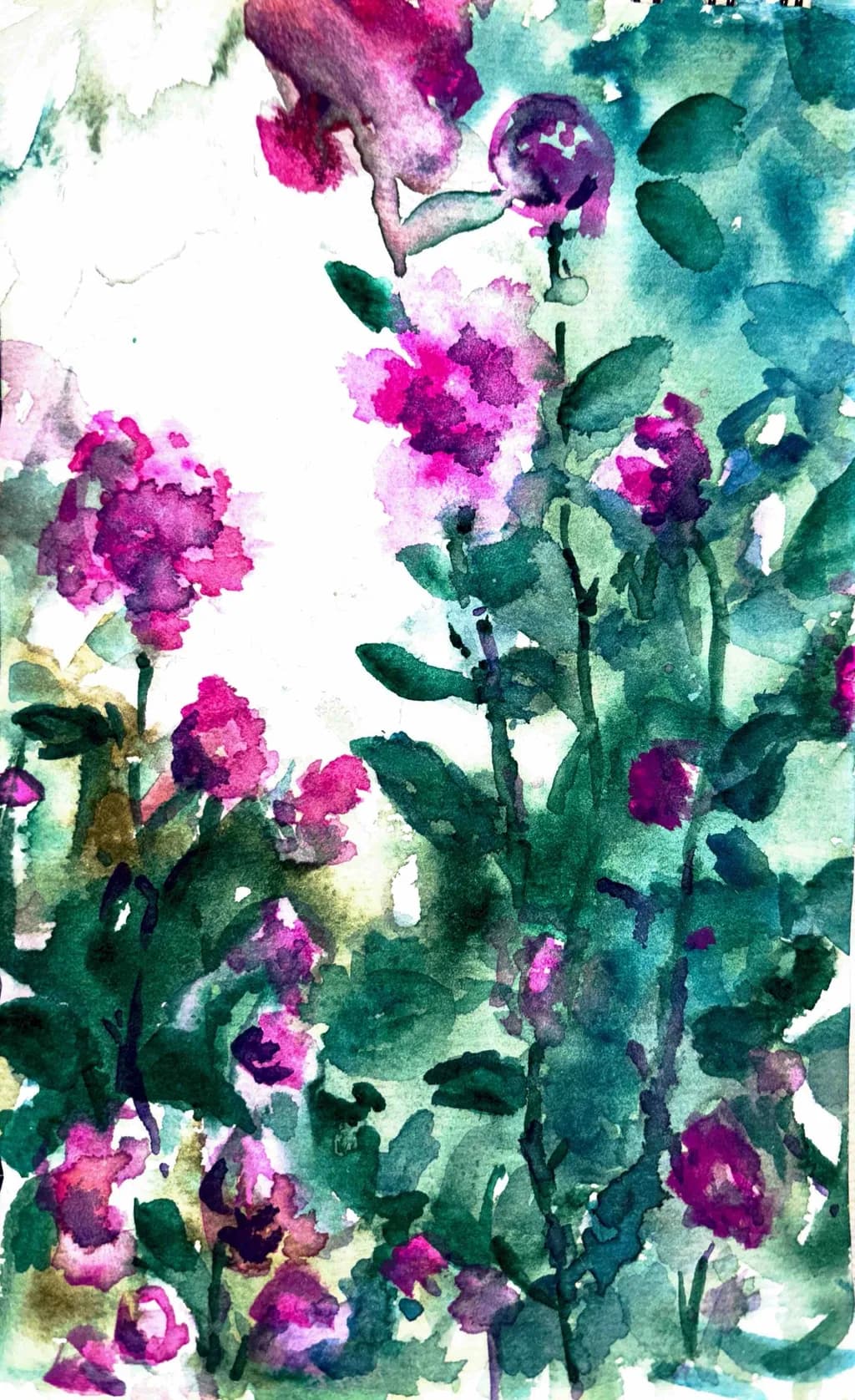 Wild Bloom