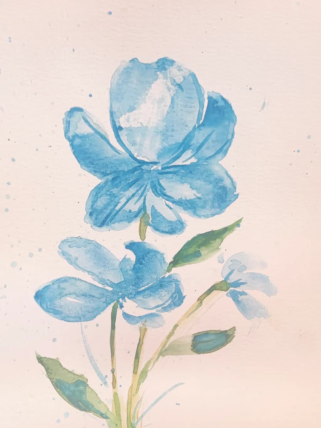 Blue Blossom