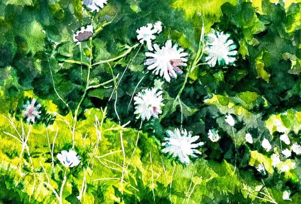Spring Daisies