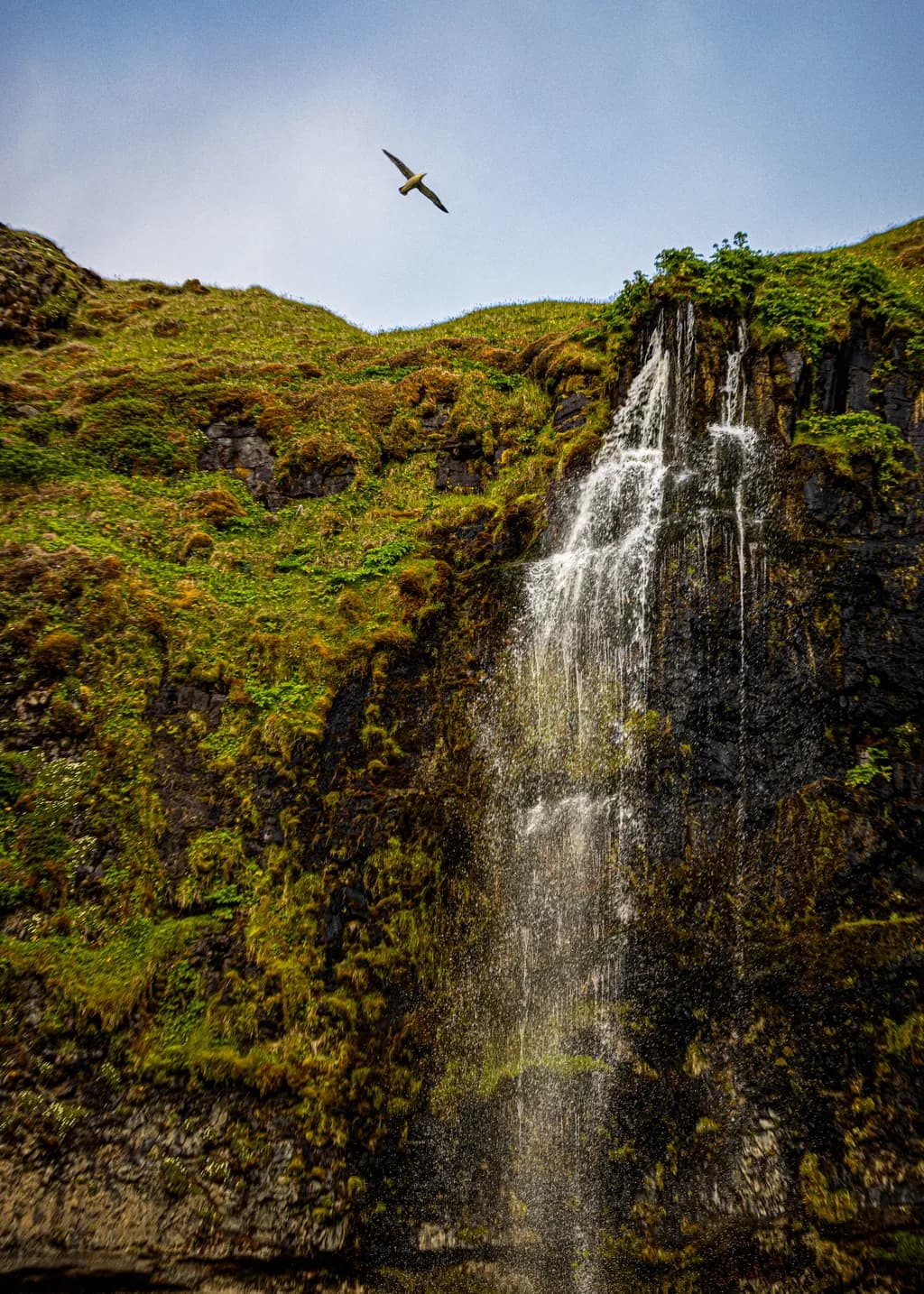 Whispers of Nature: A Serene Waterfall Embraced by Lush Greenery and Soaring Skies