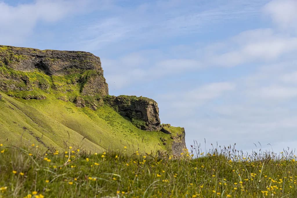 Whispers of Nature: A Serene Cliffside Landscape Awash in Greenery and Blooms
