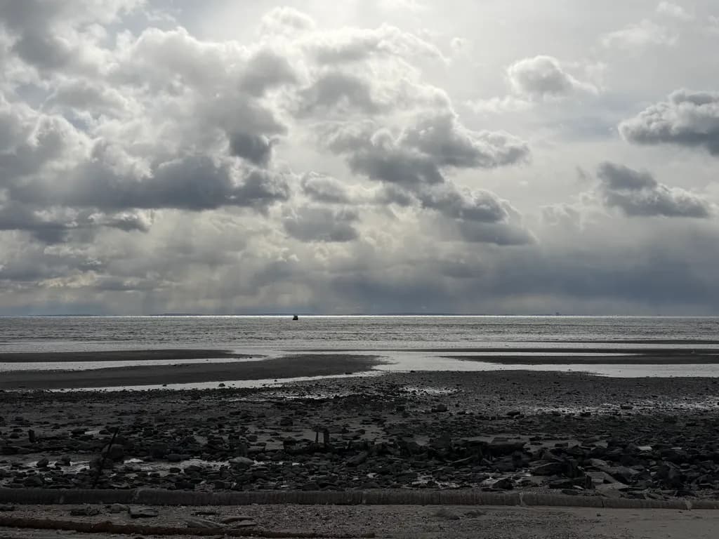 Moody Horizon