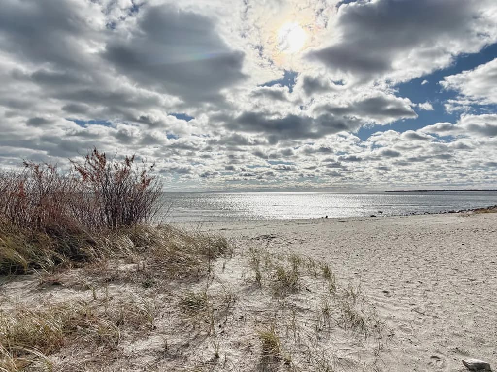 Tranquil Shoreline