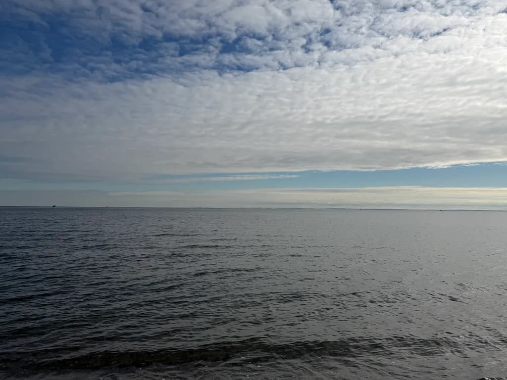 Tranquil Expanse