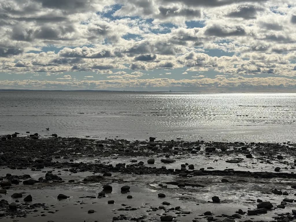 Coastal Reflections