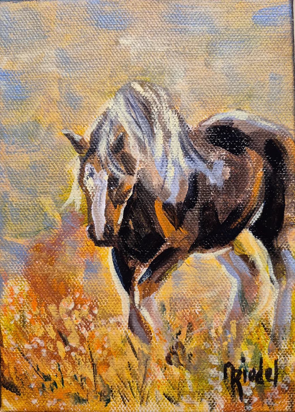 Wild Horse Canvas
