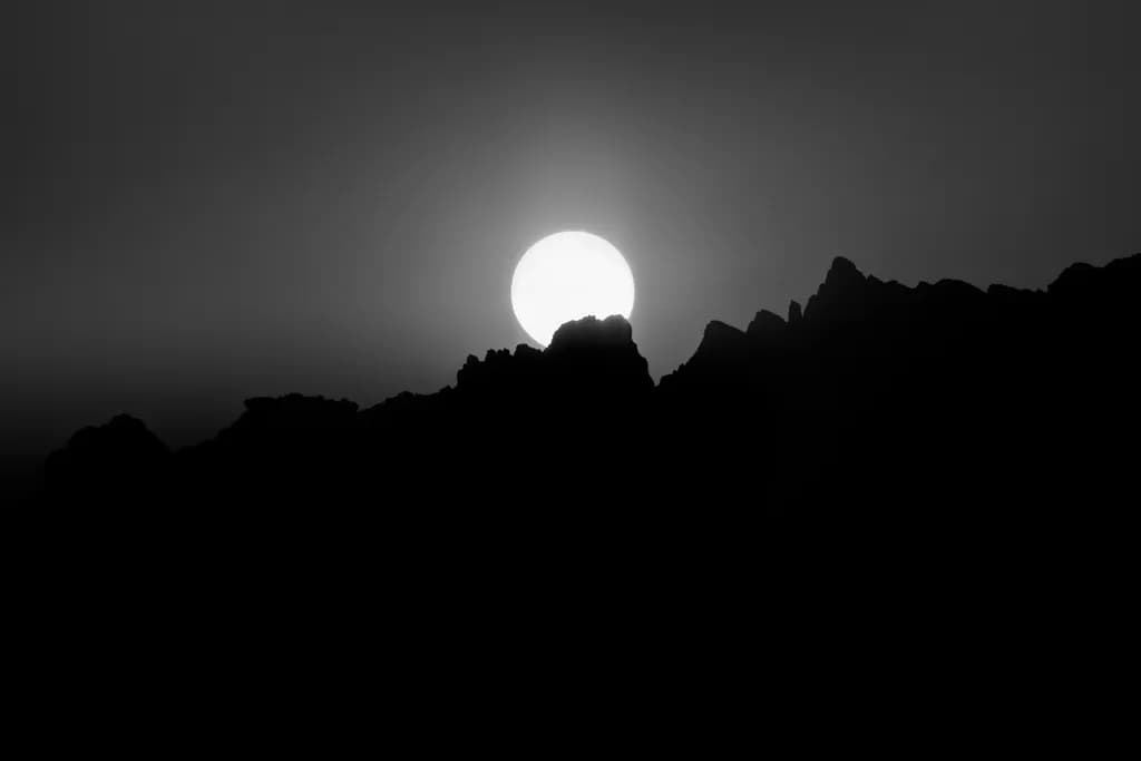 Sunset Silhouette
