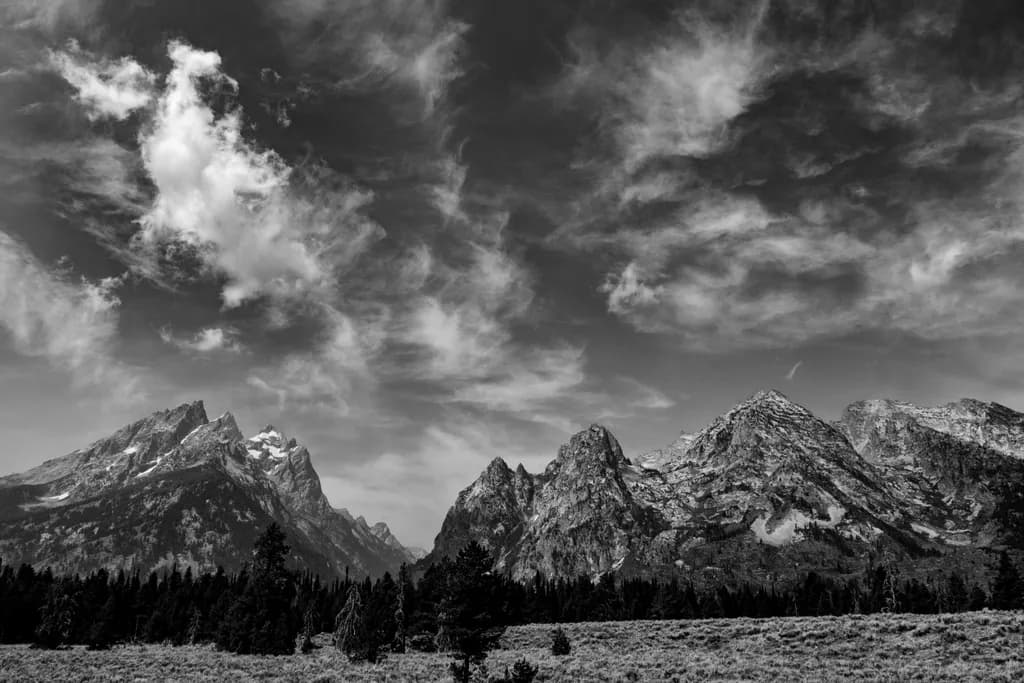 Silent Giants